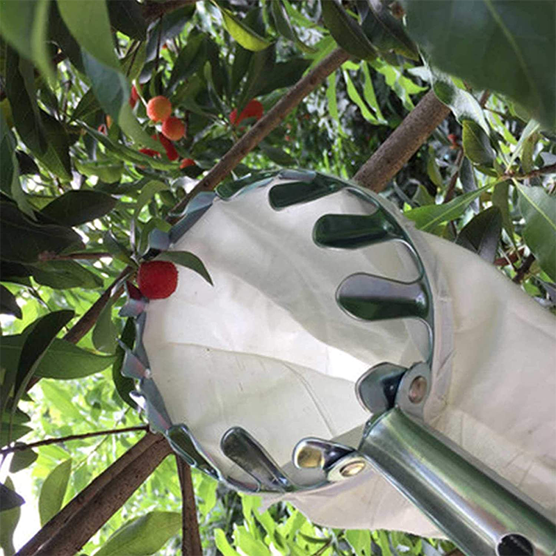 Cesta Coletora de Frutas de Longo Alcance Harvo™