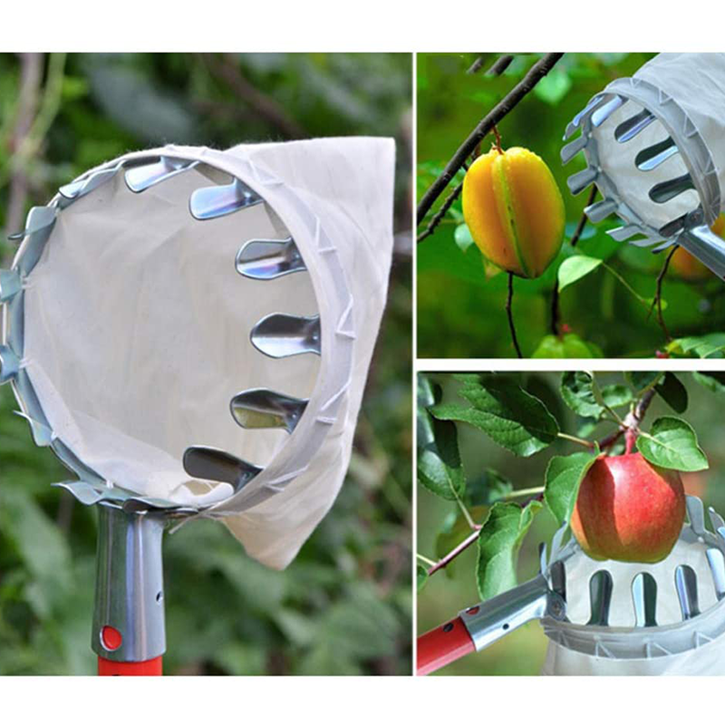Cesta Coletora de Frutas de Longo Alcance Harvo™