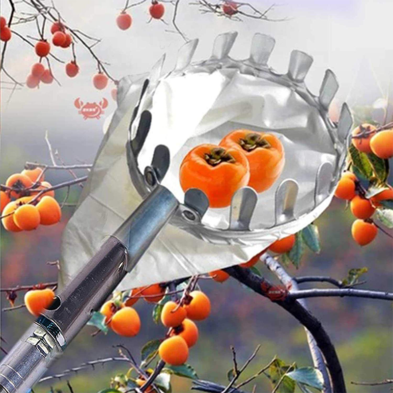 Cesta Coletora de Frutas de Longo Alcance Harvo™