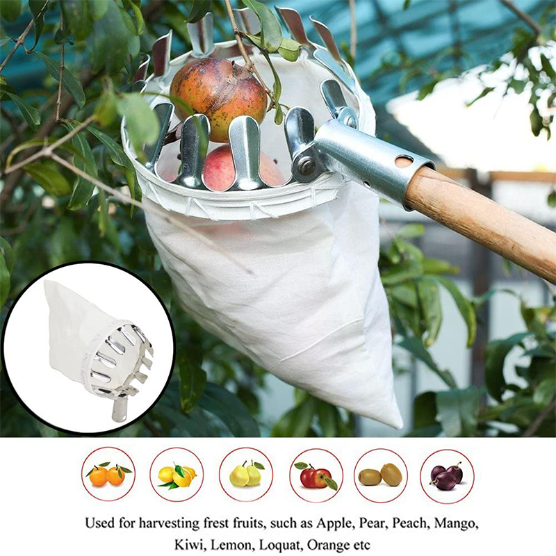 Cesta Coletora de Frutas de Longo Alcance Harvo™