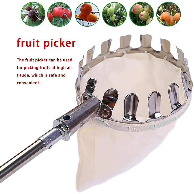Cesta Coletora de Frutas de Longo Alcance Harvo™