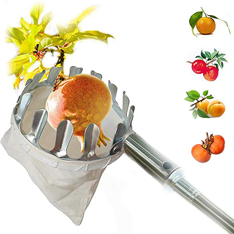 Cesta Coletora de Frutas de Longo Alcance Harvo™